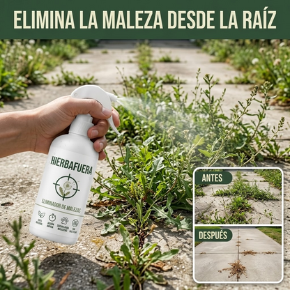 HIERBAFUERA