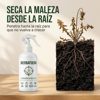 HIERBAFUERA