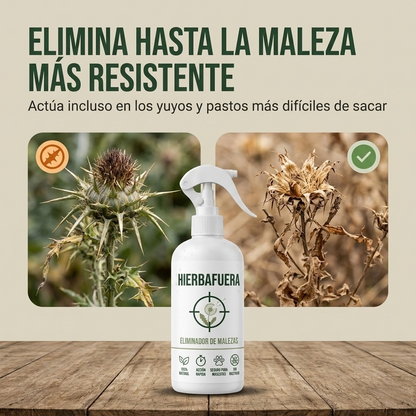 HIERBAFUERA